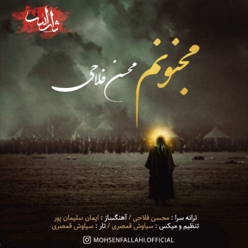 محسن فلاحی مجنونم